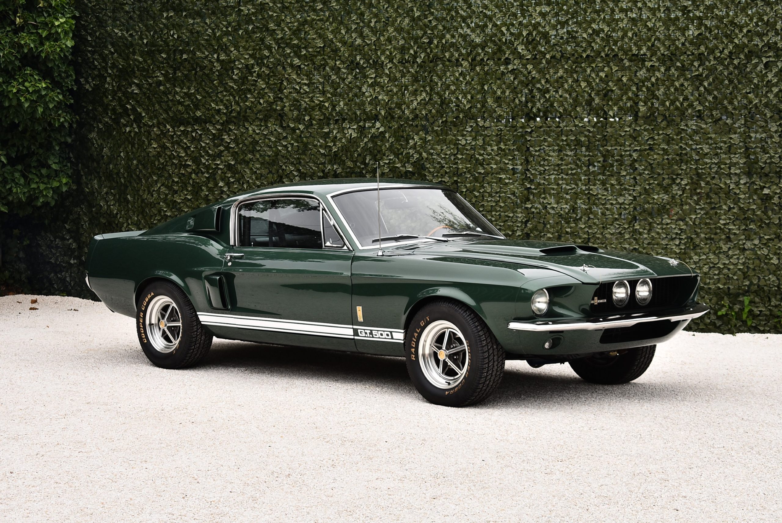 Shelby GT500 Fastback